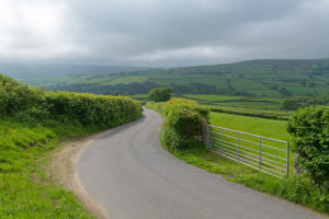 Typical english street lined with hedges, Devon, South West England, England, United Kingdom, Europe Typical english street lined with hedges, Devon, South West England, England, United Kingdom, Europe